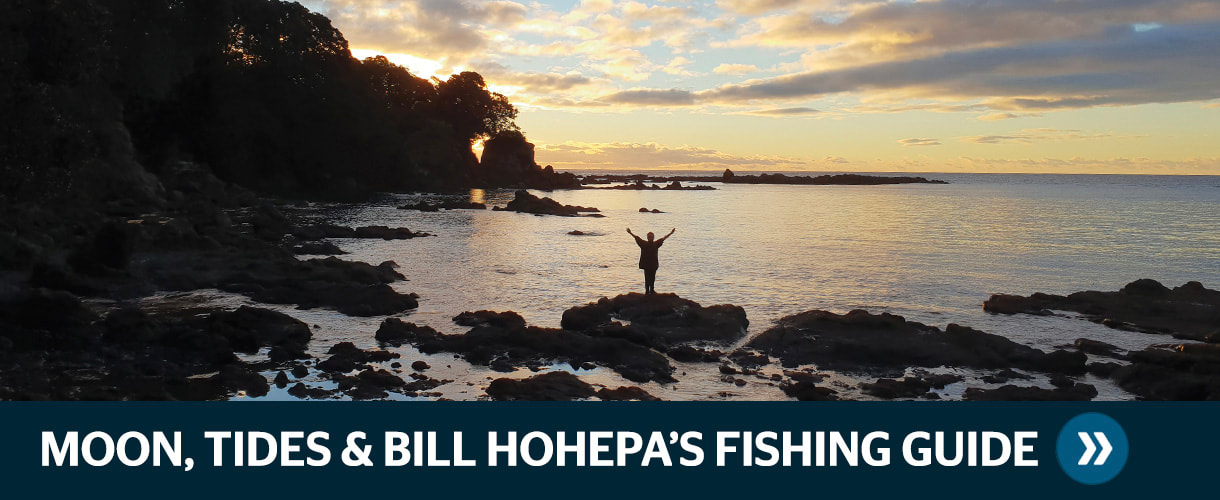TIDES BILL HOHEPA FISHING GUIDE