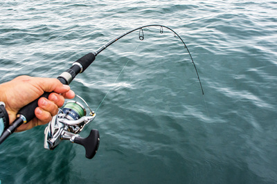 Review: Shimano Colt Sniper Jig Spin Rod