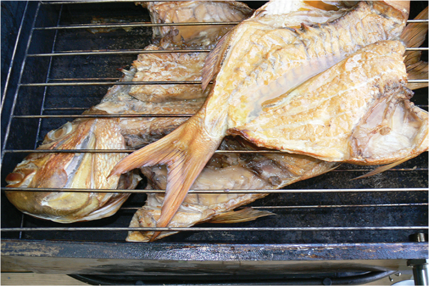 Home fish smoker shop