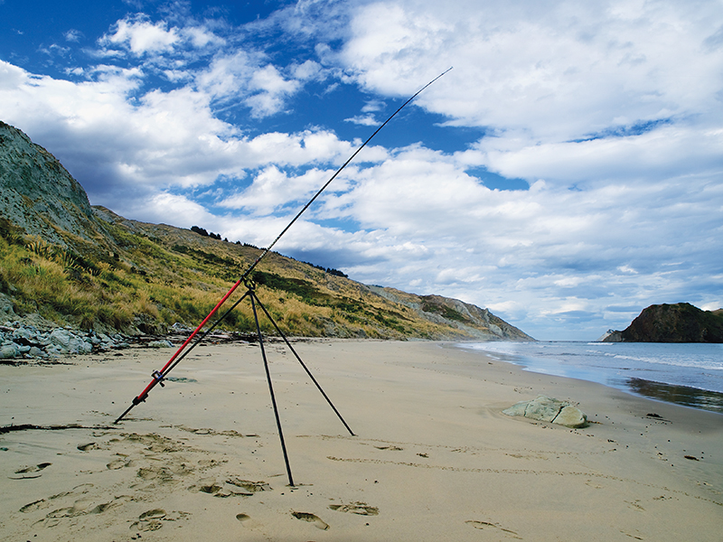 HOW TO CHOOSE A SURFCASTING ROD