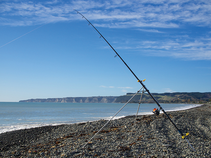 HOW TO CHOOSE A SURFCASTING ROD