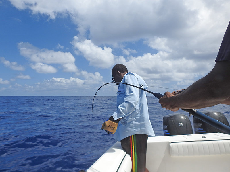 NZ BAY FISHER/DESTINATION/VANUATU