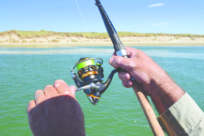 Review: TD SOL II FISHING REEL AND TEAM DAIWA ROD