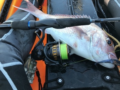 daiwa bg 2500 for sale