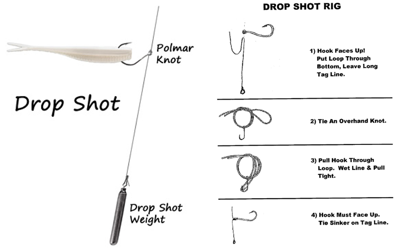 Drop Shot Hook Size Chart