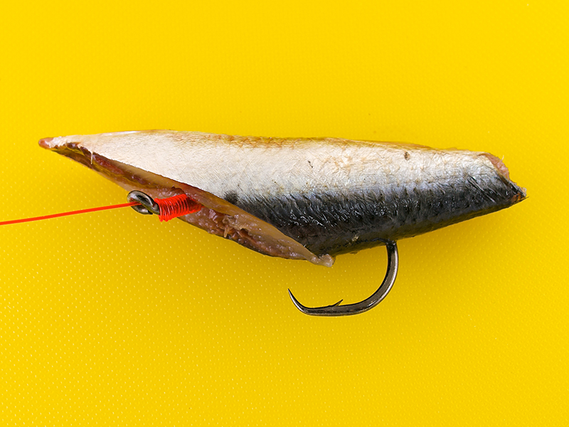 Surf casting bait