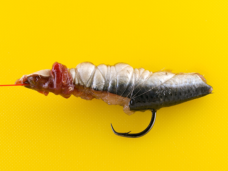Surf casting bait