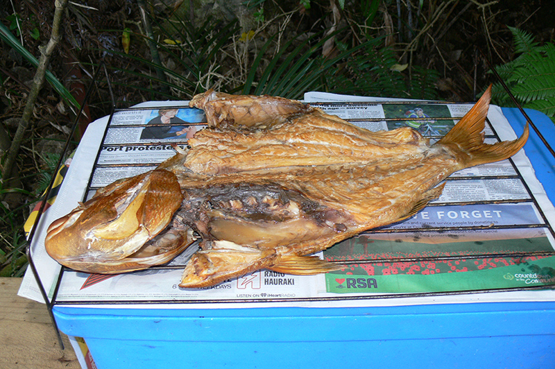 Featured image of post Recipe of Best Fish Smoker Nz